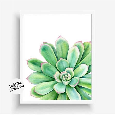 Free Succulent Printable Wall Art Download Free Succulent Printable