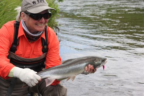 Dolly Varden Fly Fishing Alaska Fly Fishing Trips