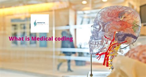 The Complete Beginner S Guide To Medical Coding Careers