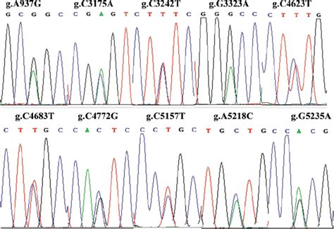 The Sequencing Maps Of 10 Novel Snps In The Bovine Insig1 Gene Note