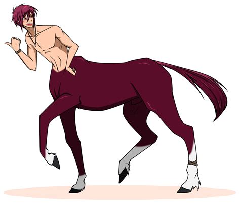 Centaur Rin Centaur Anime Centaur Character Art