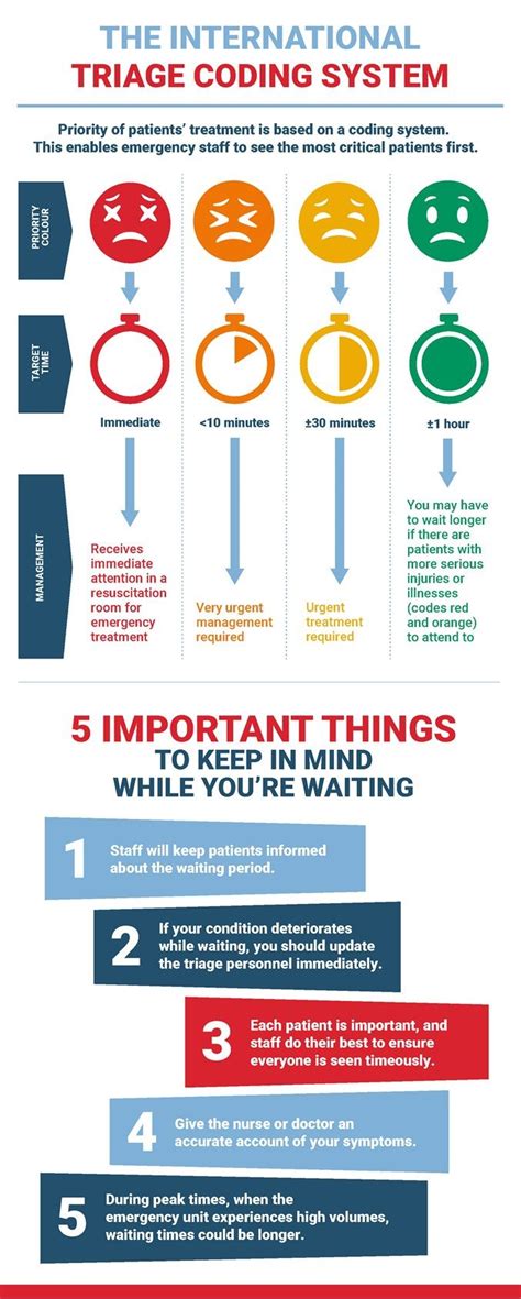 Visual Learning Manic Priorities Infographic Coding System