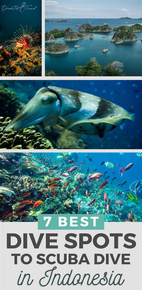 7 Best Dive Spots To Scuba Dive In Indonesia Artofit