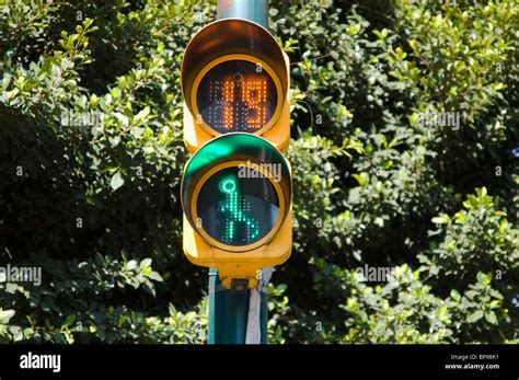 pedestrian traffic light insurgentes avenue  mexico city stock photo