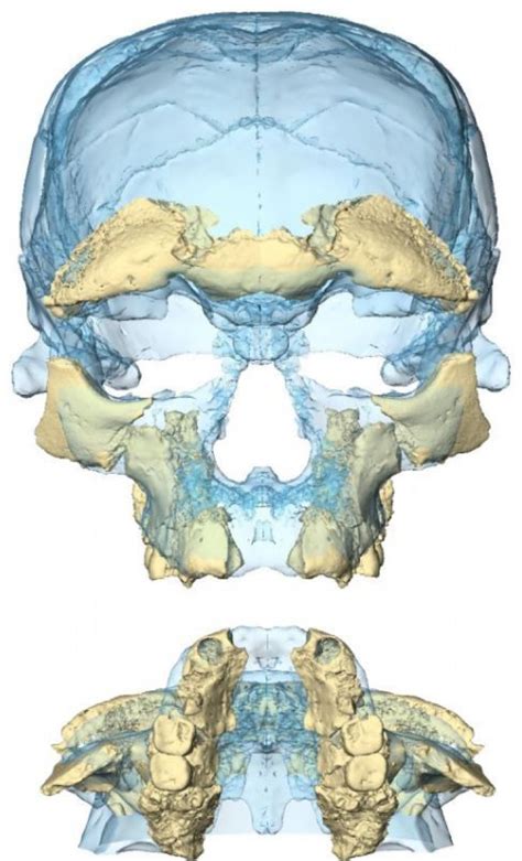 Oldest Human Remains Ever Found Turn Up In Morocco, Possibly Rewrites ...