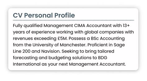 CV Personal Profile - Examples, Template, & How to Write (2025)