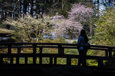 The Portland Japanese Garden Is One Of The Top 4 Nature Experiences In The West