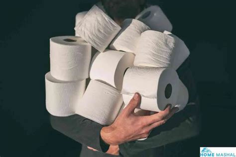 Best Toilet Papers For Septic Tank In 2024 Buyer S Guide