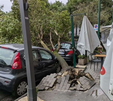 Maltempo A Napoli Cadono Due Alberi Per Il Forte Vento