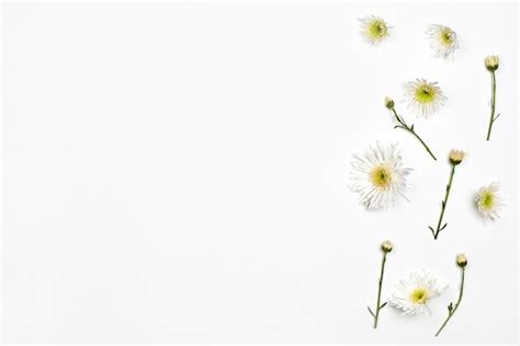 Premium Photo Bright Spring Flowers On White Background Fresh White