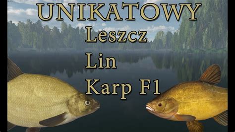 Fishing Planet Anglia Unikatowy Leszcz Lin Karp F Youtube