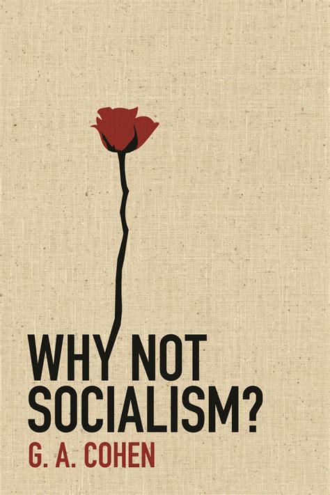 Why Not Socialism? | Princeton University Press
