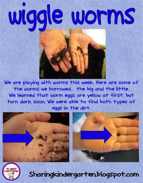 Wiggle Worms Worms Kindergarten Learning Stories Kindergarten Science