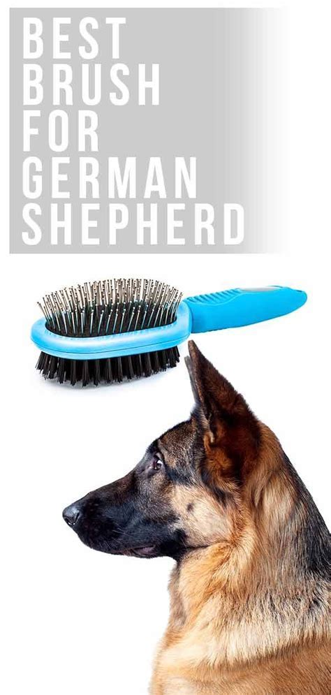 How To Brush German Shepherd Hair