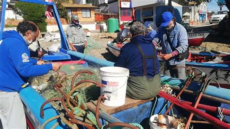 Pescadores De La Caleta Maitencillo Youtube