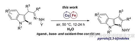 意大利乌尔比诺大学gianfranco Favi课题组：首例cu Fe催化分子内c Sp2 H胺化合成吡咯并[2 3 B]吲哚 知乎