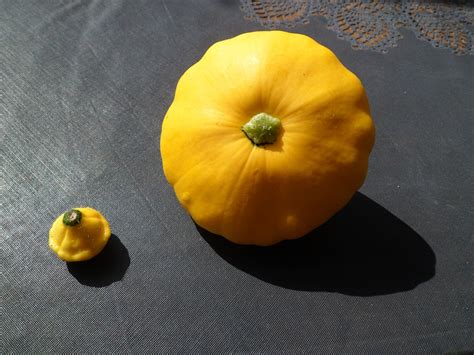 Овощи Желтого Цвета Картинки – Telegraph