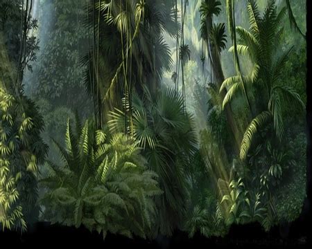 Jungle Background Drawing at GetDrawings | Free download