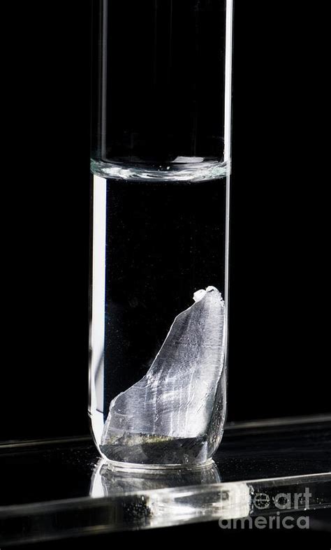 Lead In Hydrochloric Acid Photograph By Martyn F Chillmaid Science