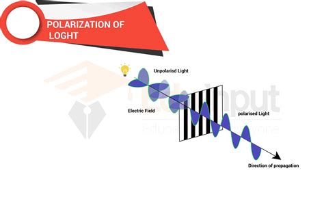 What is the Absorption of Light?-Definition, Example, And Application