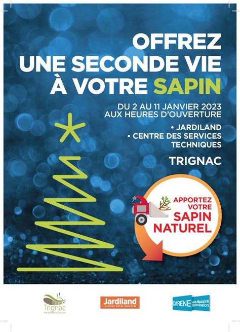 Offrez Une Seconde Vie Votre Sapin D Veloppement Durable