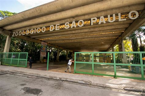 Zoológico De São Paulo Valor Da Entrada 2021