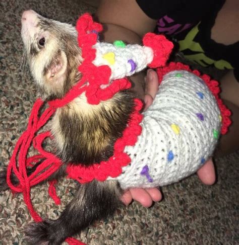 Custom Ferret Costumes | Etsy