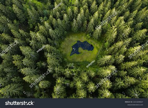 Aerial Top View Forest Tree Rainforest Stock Photo 2213209027 ...