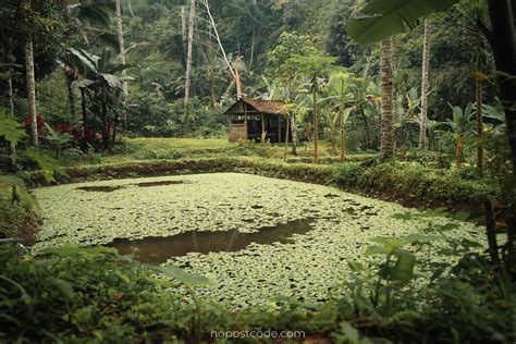 Tukad Cepung Waterfall Ultimate Bali Guide