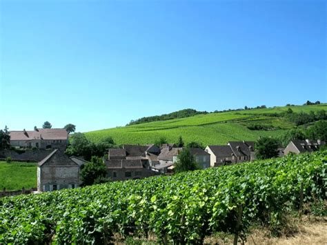 Le Migliori Cantine Da Visitare In Borgogna Decanto Giornale Di