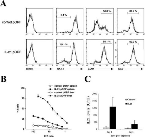 Il 21 Induces The Functional Maturation Of Murine Nk Cells The