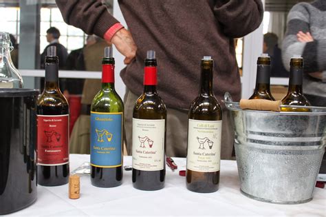 Reportage Di Viaggi Di Gusto Sorgente Del Vino