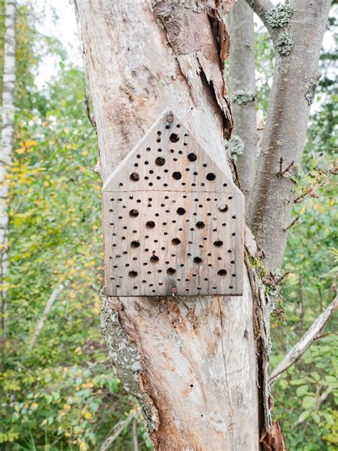 Wooden Insect House In The Garden Bug Hotel In Natural Environment