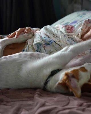 Aisultana Nude Porn Pictures XXX Photos Sex Images 4055518 PICTOA