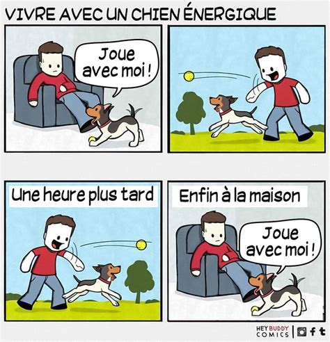 14 Bandes Dessinées Qui Vont émouvoir Tous Ceux Qui Ont Un Chien Sympa