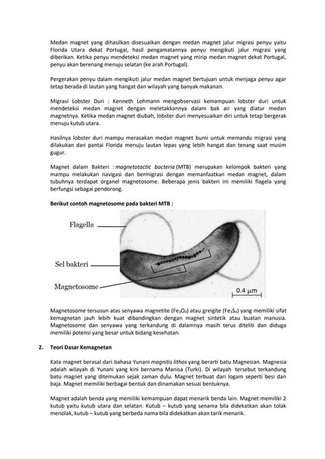 Solution Bab 6 Kemagnetan Dan Pemanfaatannya Dalam Produk Teknologi