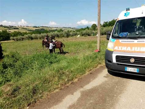 Brutta Caduta Dal Cavallo 46enne Sannita In Codice Rosso Al