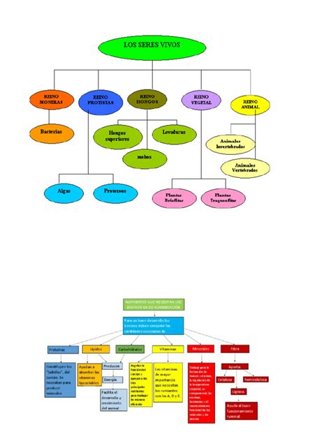 Mapas Conceptual De Los Seres Vivos Pdf