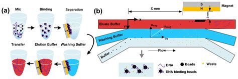 Micromachines Free Full Text Continuous Microfluidic Purification