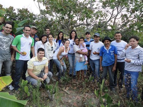 Formação e movimento agroecológico a atuação de um Grupo de