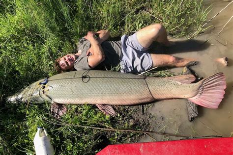 At 207 pounds, alligator gar sets record for South Texas lake