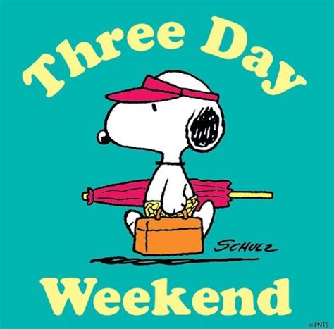 Pin By Michelle Raatjes On Snoopy Snoopy Funny Snoopy Quotes Snoopy