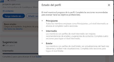 Pasos Para Crear Un Perfil De En Linkedin Liz Sarmina Mentora