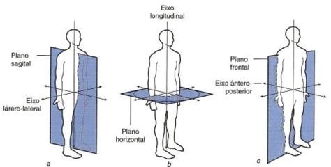 Eixos E Planos Anatomicos - Planos anatômicos e eixos do corpo humano – Anatomia papel e caneta