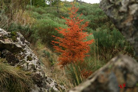 Do Poço do Inferno ao Covão d Ametade Serra da Estrela Ir em Viagem