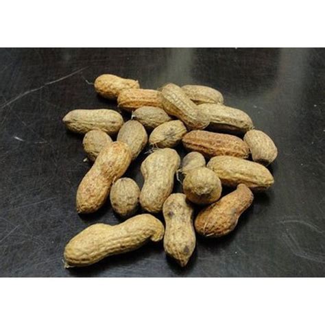 Raw Groundnut In Shell Packaging Size Kg Packaging Type Sack At