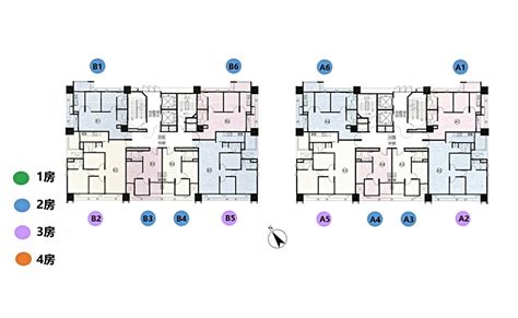 【社區攻略】誠鑫看屋心得（價格格局分析） 591新建案