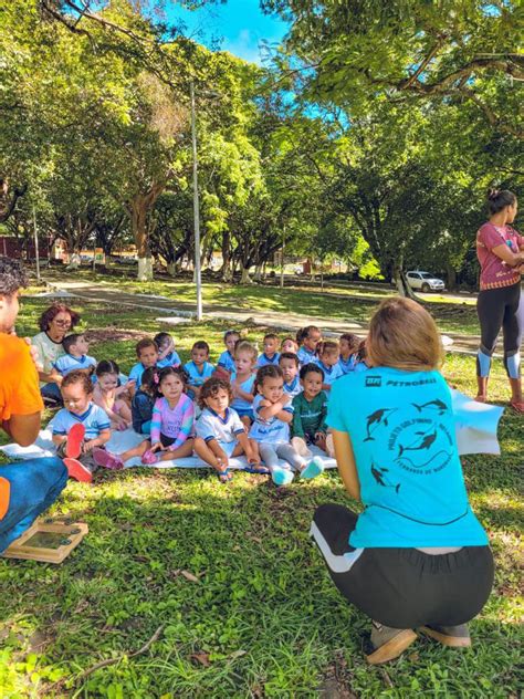 Semana Do Meio Ambiente Projeto Golfinho Rotador