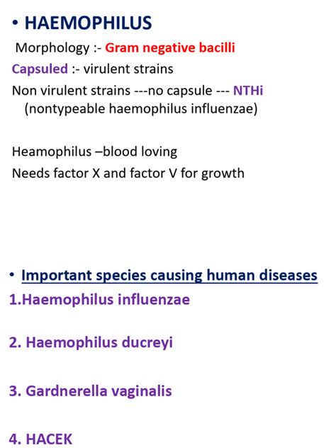 H Influenzae | PDF