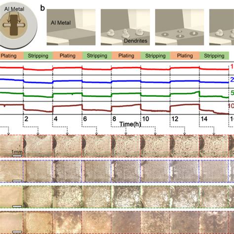 In Situ Observation Of The Surface Evolution Of Al Electrodes A